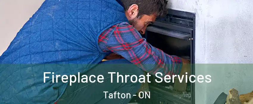  Fireplace Throat Services Tafton - ON