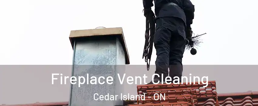  Fireplace Vent Cleaning Cedar Island - ON