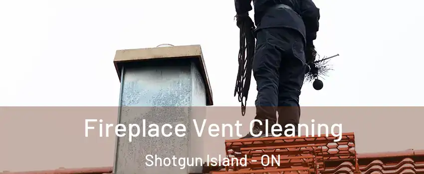  Fireplace Vent Cleaning Shotgun Island - ON