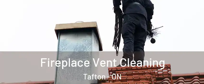  Fireplace Vent Cleaning Tafton - ON