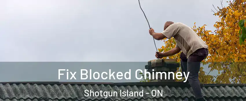 Fix Blocked Chimney Shotgun Island - ON