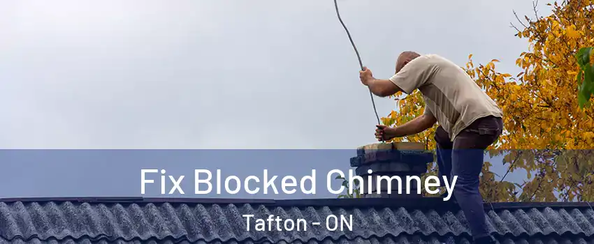  Fix Blocked Chimney Tafton - ON