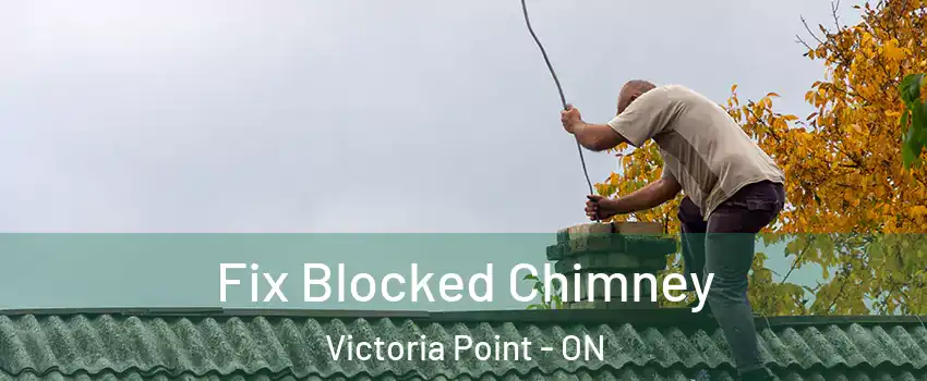  Fix Blocked Chimney Victoria Point - ON
