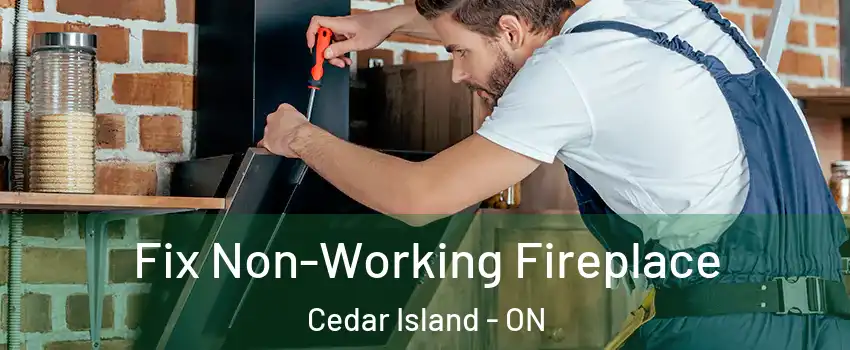  Fix Non-Working Fireplace Cedar Island - ON