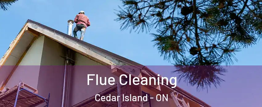  Flue Cleaning Cedar Island - ON