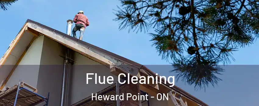  Flue Cleaning Heward Point - ON