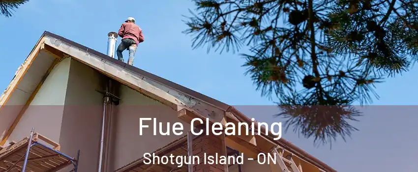  Flue Cleaning Shotgun Island - ON