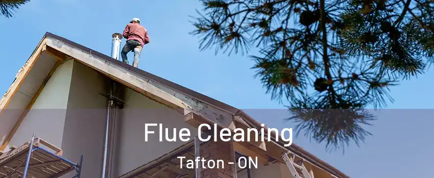  Flue Cleaning Tafton - ON