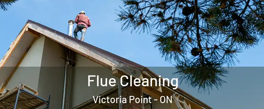 Flue Cleaning Victoria Point - ON