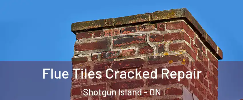  Flue Tiles Cracked Repair Shotgun Island - ON