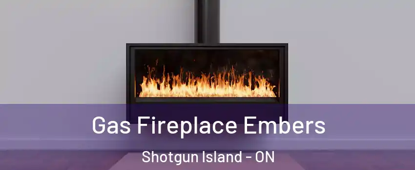  Gas Fireplace Embers Shotgun Island - ON