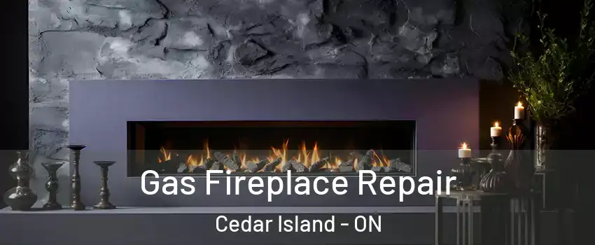  Gas Fireplace Repair Cedar Island - ON