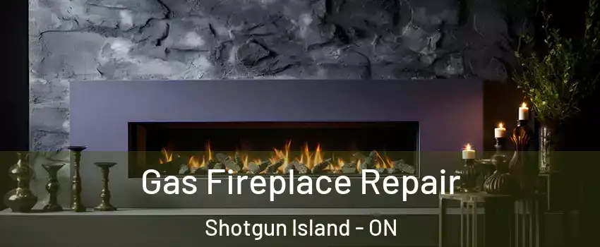  Gas Fireplace Repair Shotgun Island - ON