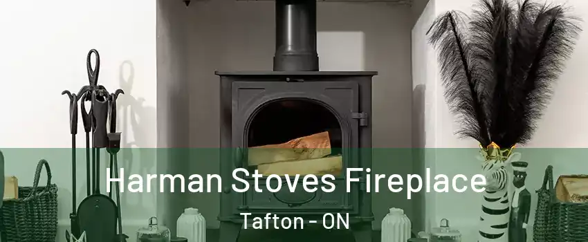  Harman Stoves Fireplace Tafton - ON