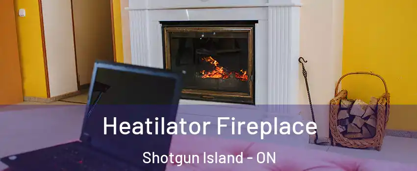  Heatilator Fireplace Shotgun Island - ON