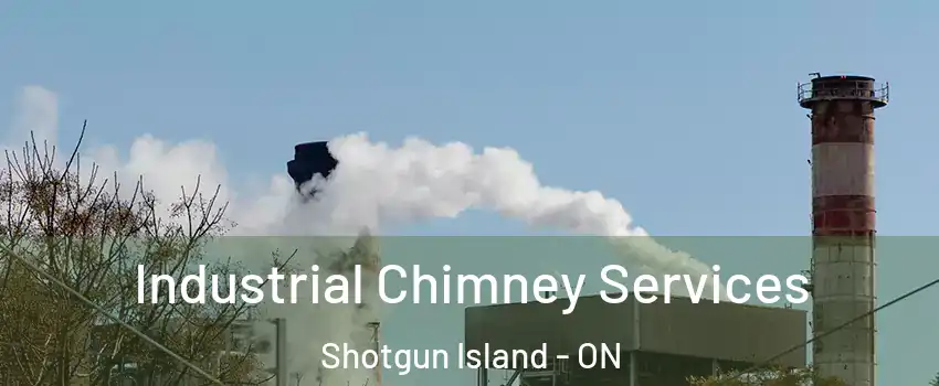  Industrial Chimney Services Shotgun Island - ON