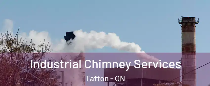  Industrial Chimney Services Tafton - ON