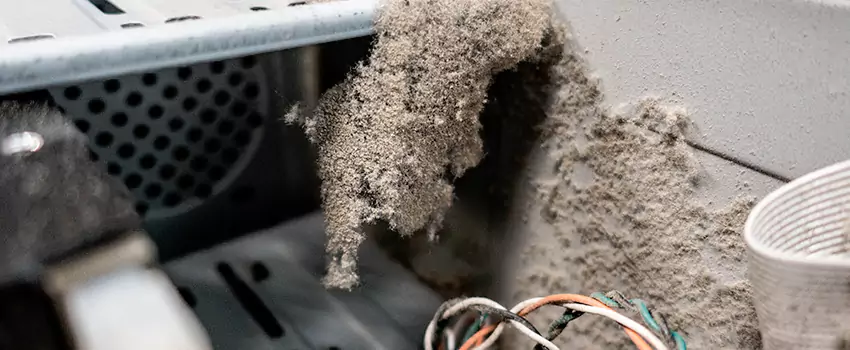 Clogged Dryer Vent Lint Cleaning in Tafton, Ontario
