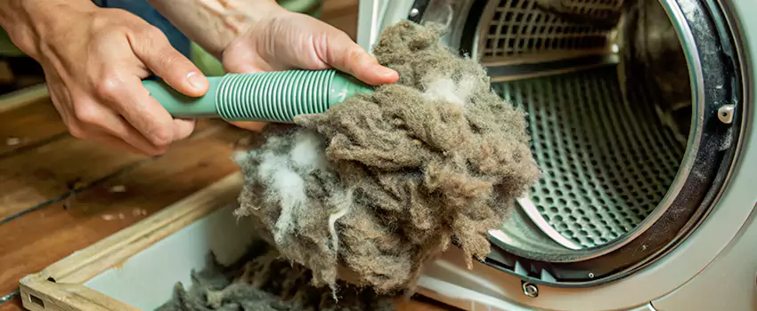 Best Dryer Lint Removal Company in Orillia, Ontario