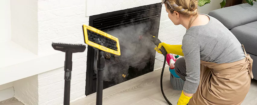 Fireplace Doors Cleaning in Heward Point, Ontario