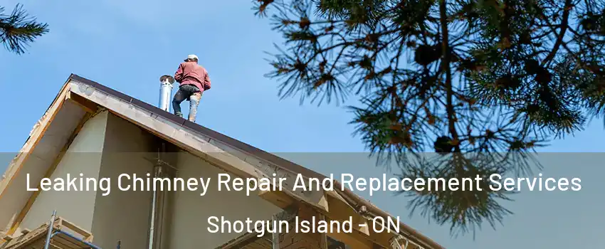 Leaking Chimney Repair And Replacement Services Shotgun Island - ON