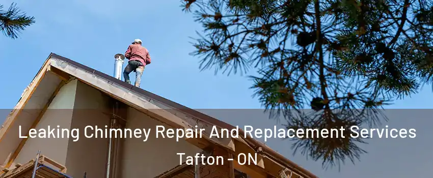 Leaking Chimney Repair And Replacement Services Tafton - ON