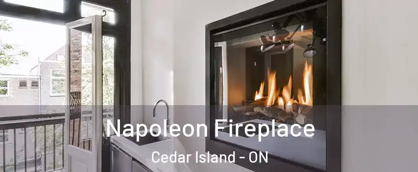  Napoleon Fireplace Cedar Island - ON