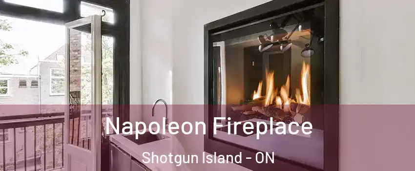  Napoleon Fireplace Shotgun Island - ON