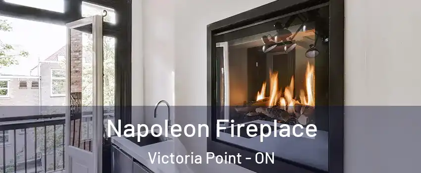  Napoleon Fireplace Victoria Point - ON