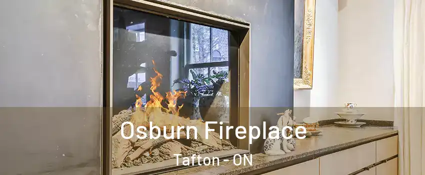  Osburn Fireplace Tafton - ON
