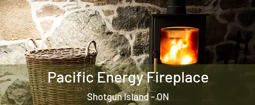  Pacific Energy Fireplace Shotgun Island - ON