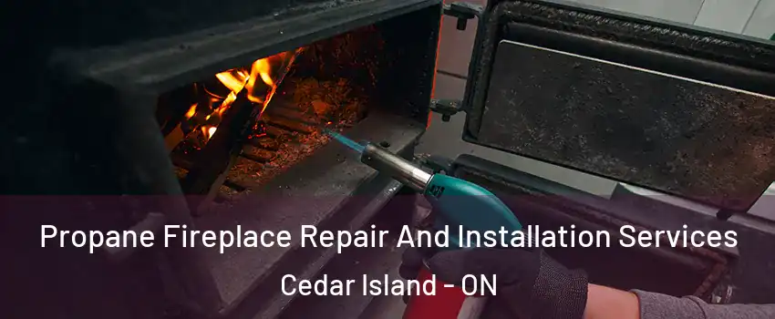 Propane Fireplace Repair And Installation Services Cedar Island - ON