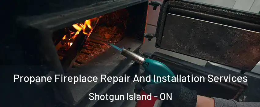 Propane Fireplace Repair And Installation Services Shotgun Island - ON