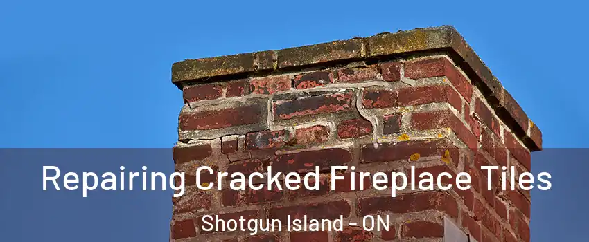  Repairing Cracked Fireplace Tiles Shotgun Island - ON