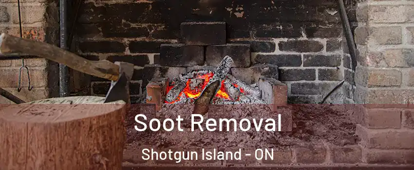  Soot Removal Shotgun Island - ON