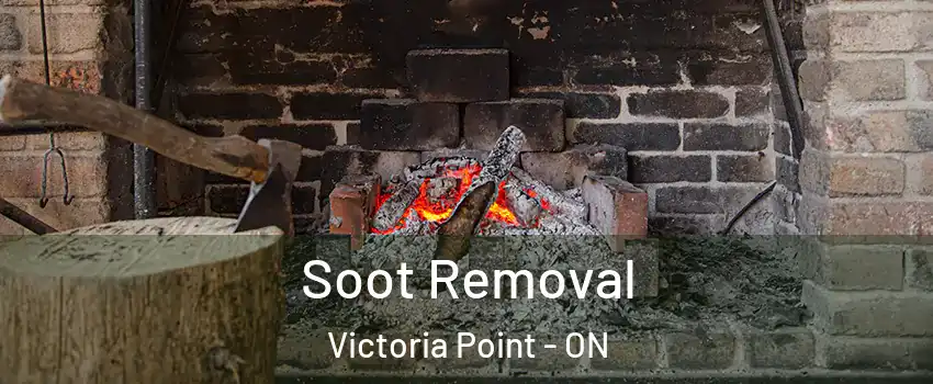  Soot Removal Victoria Point - ON