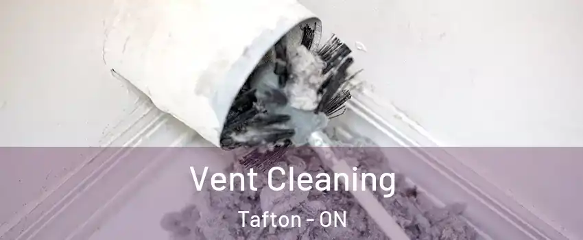  Vent Cleaning Tafton - ON