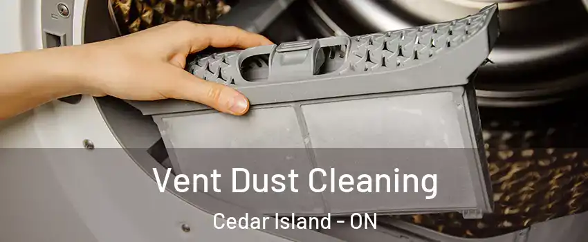  Vent Dust Cleaning Cedar Island - ON