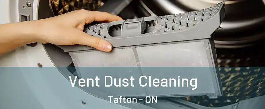  Vent Dust Cleaning Tafton - ON