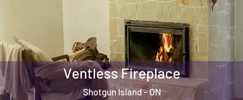  Ventless Fireplace Shotgun Island - ON