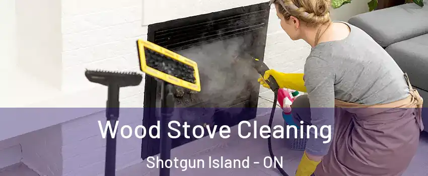  Wood Stove Cleaning Shotgun Island - ON