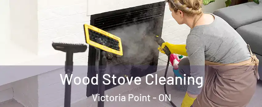  Wood Stove Cleaning Victoria Point - ON